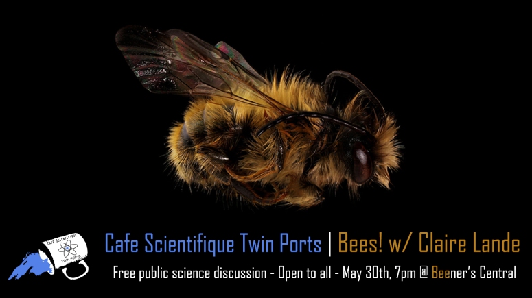 May 2019: Bees! - w/ Claire Lande
